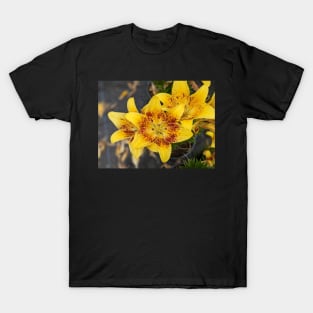 Yellow Lilies Photographic Image T-Shirt